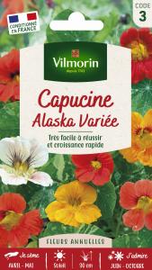 Capucine Alaska Variée